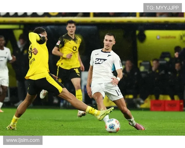 霍芬海姆1899俱乐部发展历程与在德甲的崛起之路分析